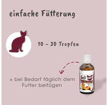 Infografik zur einfachen Fütterung von feliTATZ Bio-Haarballenöl für Katzen mit Dosierhinweis 10 bis 30 Tropfen täglich dem Futter beizufügen.