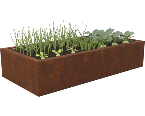 Rechteckiges Hochbeet aus Cortenstahl, bepflanzt mit jungen Gemüsepflanzen wie Kohlrabi und grünen Trieben.