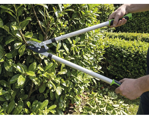 Person schneidet eine Hecke mit einer Bypass-Astschere im Garten. Die Astschere hat lange Griffe und ergonomische Griffe.