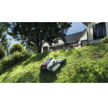 Moderner Mähroboter mit Raupenantrieb mäht einen steilen Rasenhang in einem hellen Garten vor einem Wohnhaus.