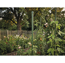 Grüner Pflanzstab aus Kunststoff als Rankhilfe für Tomaten und Kletterpflanzen in einem blühenden Garten mit Holzzaun.
