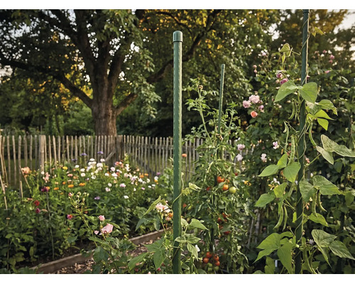 Grüner Pflanzstab aus Kunststoff als Rankhilfe für Tomaten und Kletterpflanzen in einem blühenden Garten mit Holzzaun.