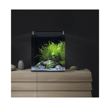Modernes Nano-Aquarium Set auf einer Holzkommode mit Wasserpflanzen, Steinen, kleinen Fischen und Aquariumbeleuchtung.