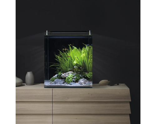 Modernes Nano-Aquarium Set auf einer Holzkommode mit Wasserpflanzen, Steinen, kleinen Fischen und Aquariumbeleuchtung.