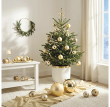 Dekorierter kleiner Weihnachtsbaum in weißem Topf mit goldenen Kugeln und Schleifen im hellen Wohnzimmer mit passendem Kranz an der Wand.
