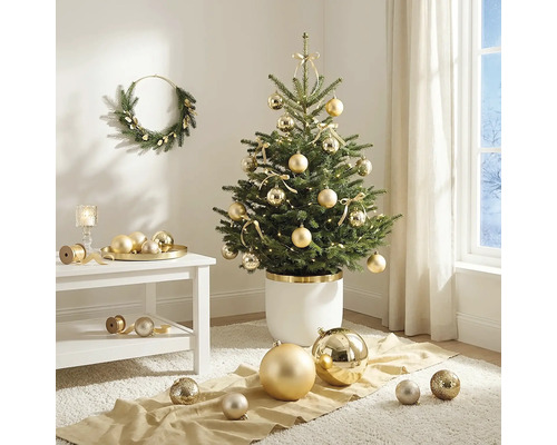Dekorierter kleiner Weihnachtsbaum in weißem Topf mit goldenen Kugeln und Schleifen im hellen Wohnzimmer mit passendem Kranz an der Wand.