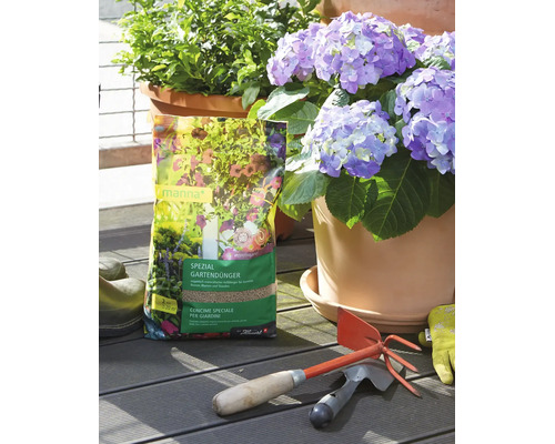 Packung Manna Spezial Gartendünger auf Holzterrasse neben blühender Hortensie im Topf, Gartenwerkzeug und Handschuhen.