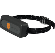 Weenect GPS-Tracker für Haustiere an einem gemusterten Halsband mit Schnalle.