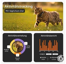 Infografik zum Aktivitätstracking für Katzen mit Tracker-Halsband, zeigt Aktivitätsverteilung, tägliche Schritte und Kilometer. (Image AI modified or generated)