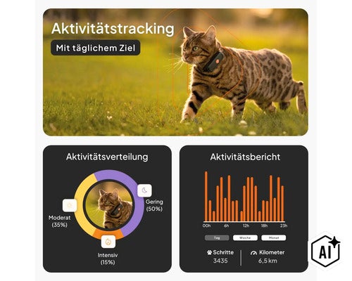 Infografik zum Aktivitätstracking für Katzen mit Tracker-Halsband, zeigt Aktivitätsverteilung, tägliche Schritte und Kilometer. (Image AI modified or generated)