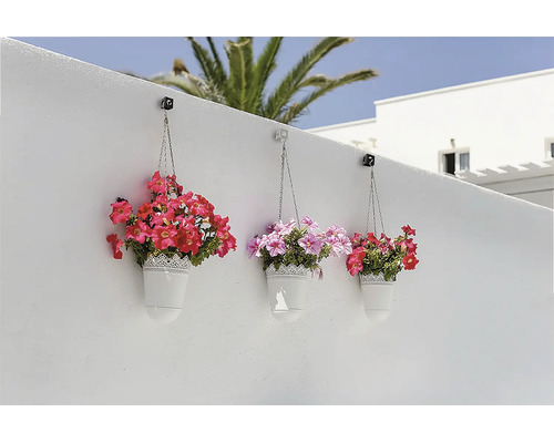 Drei weiße Blumenampeln mit Spitzenmuster und Kette an einer weißen Wand, bepflanzt mit rosa und violetten Petunien.