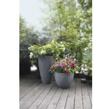 Zwei graue, strukturierte Kunststoff-Pflanzkübel mit Blumen auf einer Holzterrasse im Garten.