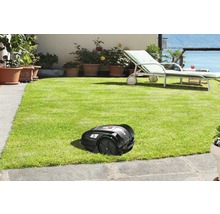 Rasenmähroboter auf Rasenfläche im Garten
