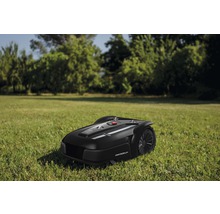 Schwarzer Mähroboter auf Rasen