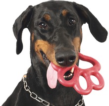 Dobermann mit Hundespielzeug im Maul