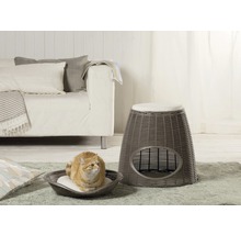Katze in einem Katzenbett und ein Katzenhaus aus Rattan neben einem Sofa