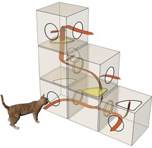 Katze vor modularem Katzenhaus in Treppenform