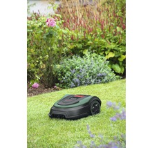 Rasenmähroboter im Garten