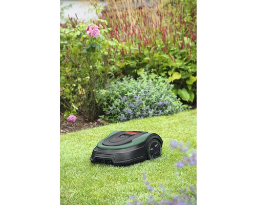 Rasenmähroboter im Garten