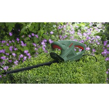 Bosch Heckenschere auf Buchsbaum vor Blumen