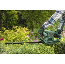 Person schneidet Hecke mit einer Heckenschere von Bosch