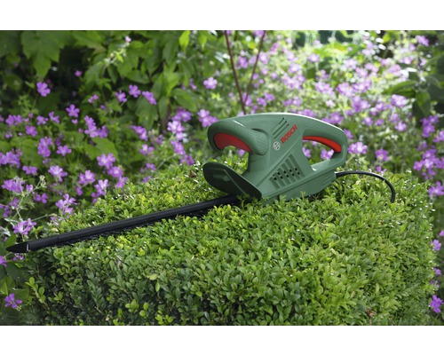 Bosch Heckenschere auf Hecke mit lila Blüten