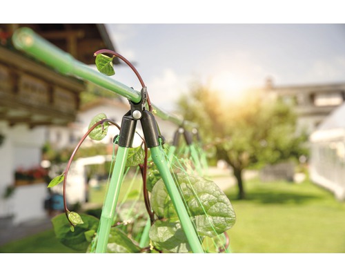 Pflanzenstütze im Garten mit Kletterpflanzen