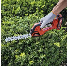 Eine Person schneidet mit einer Einhell Akku-Heckenschere eine Hecke.