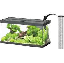 Aquarium mit Beleuchtung und Pflanzen