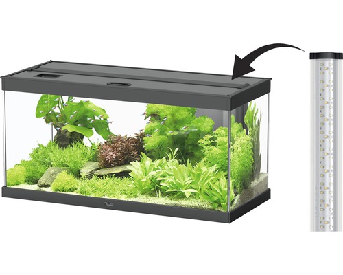 Aquarium mit Beleuchtung und Pflanzen