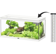 Weißes Aquarium mit Bepflanzung und LED-Leuchte