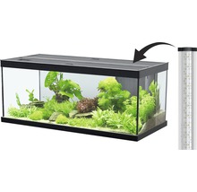 Aquarium mit Pflanzen und Fischen, inklusive LED-Beleuchtung