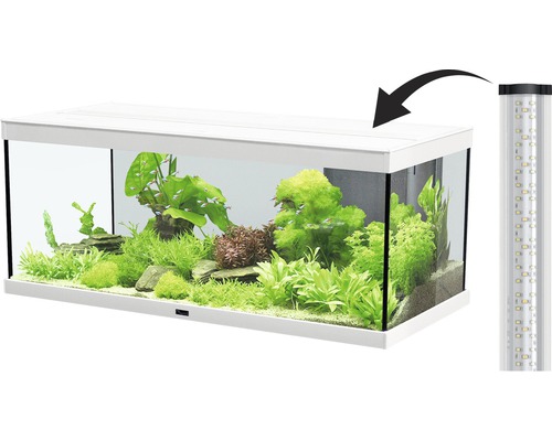 Aquarium mit Pflanzen und Fischen sowie Beleuchtung