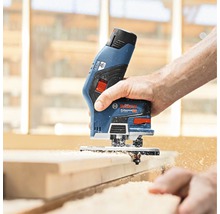 Bosch Logo. Handhobel beim Bearbeiten von Holz.