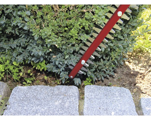 Heckenschere im Einsatz an einer Hecke neben Steinplatten