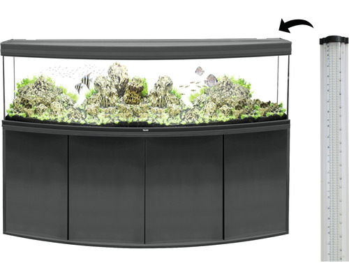 Gebogenes Aquarium mit Unterschrank und LED-Beleuchtung