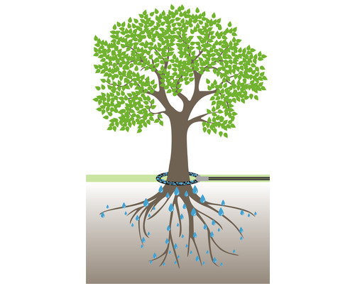 Illustration eines Baumes mit einem Bewässerungsschlauch um den Stamm