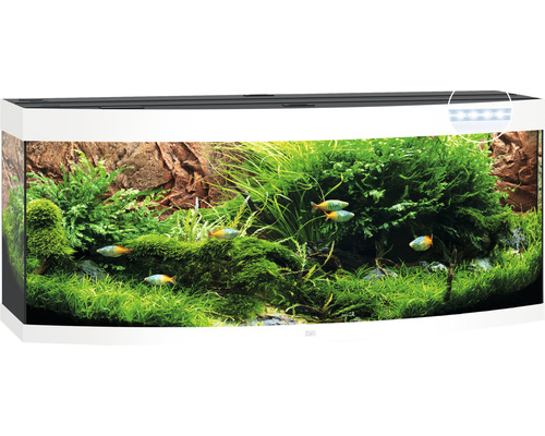 Aquarium JUWEL Vision 450 inkl. LED-Beleuchtung, Heizer, Filter ohne Unterschrank weiß