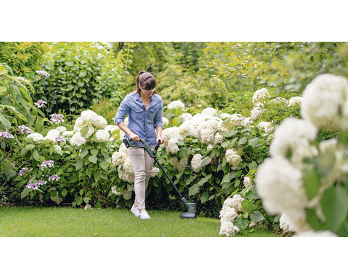 Frau verwendet einen Rasentrimmer im Garten, umgeben von Hortensien.