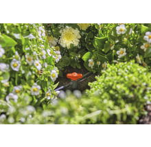 Gartenszene mit Bewässerungsventil zwischen Blumen