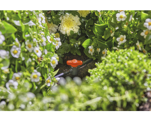 Gartenszene mit Bewässerungsventil zwischen Blumen