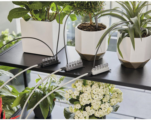 Gardena Micro-Drip-System zur Bewässerung von Pflanzen in Töpfen auf einem Regal