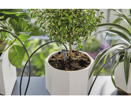 Bewässerungssystem für Topfpflanzen in einem weißen, achteckigen Pflanzgefäß