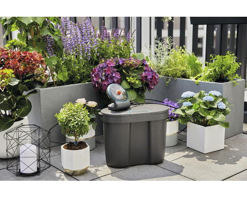 Automatische Bewässerungsanlage für den Aussenbereich mit verschiedenen Pflanzen