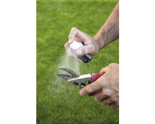 Eine Gartenschere wird mit einem Reinigungsspray gereinigt.