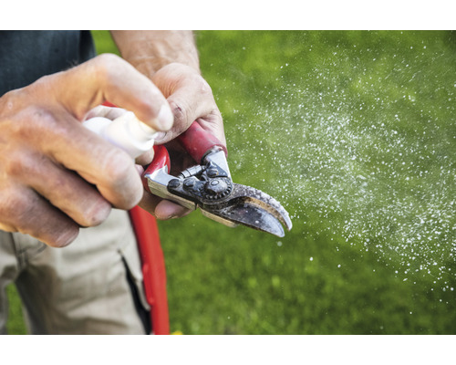 Gartenpflege: Person reinigt eine Gartenschere mit Sprühflasche