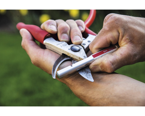 Eine Gartenschere wird mit einem Schärfwerkzeug geschärft.