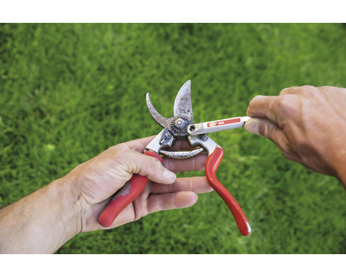 Gartenschere wird mit einem Schärfwerkzeug geschärft.