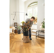 Mann mit Pflanze in einem Topf mit Pflanzenübertopf im Wohnzimmer