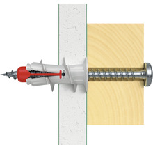 Dübel mit Schraube in Wand und Holz